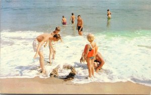 Postcard ON Jellicoe We're Having Fun at Colimar Lodge Beach Scene 1960s S98