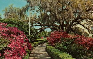 Capitol Gardens,Baton Rouge,LA BIN