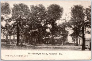 Eichelberger Park Hanover Pennsylvania PA Park Trees Houses Postcard