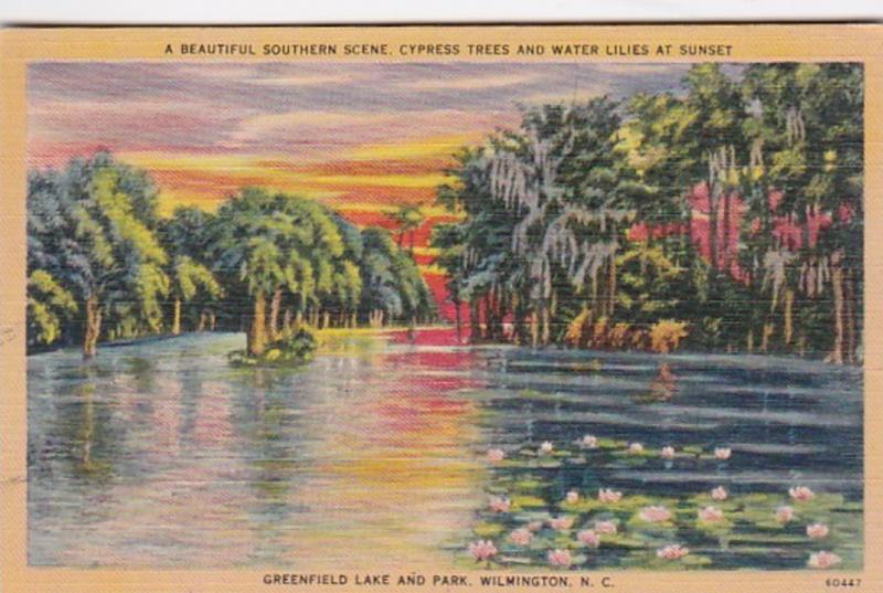 North Carolina Wilmington Cypress Trees & Water Lilies At Sunset Greenfield L...