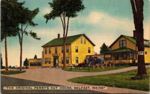 VINTAGE POSTCARD THE ORIGINAL PERRY'S NUT HOUSE AT BELFAST MAINE MAILED 1950