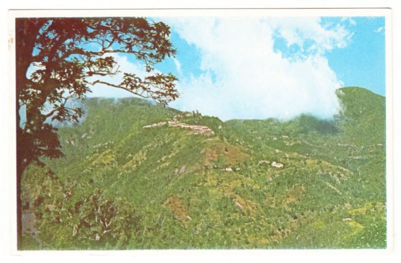 Jamaica Newcastle Military Encampment in the Blue Mountains 1940s-1950s Postcard