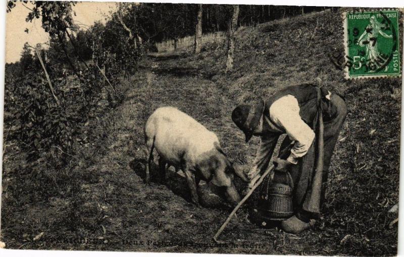 CPA PÉRIGUEUX-Deux PÉRIGORD trouvant de truffe (233915)