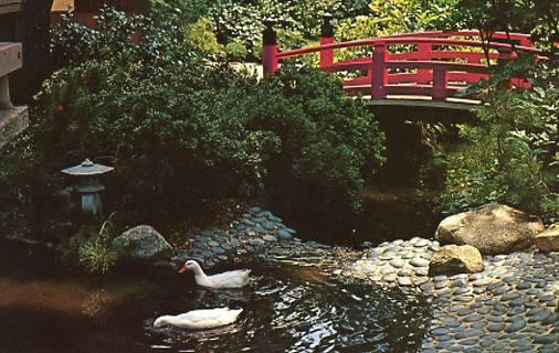 CA - La Canada, Descanso Gardens