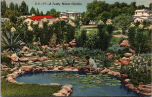 Florida Miami A Pretty Miami Garden 1947 Curteich