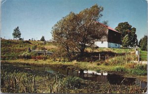 Canada A Picturesque Farm Scene in Southern Ontario Chrome Postcard C080