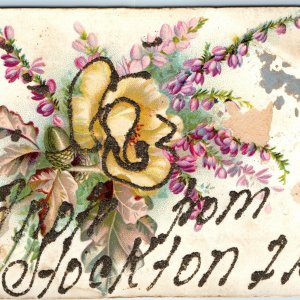 c1910s Hockton, ILL Greetings Town Postcard Mica Glitter Arrival Welcome A73