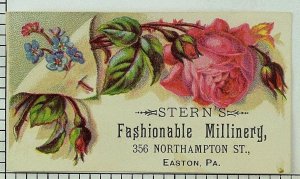 1880's-90's Victorian Trade Card Stern's Fashionable Millinery Floral Image P91