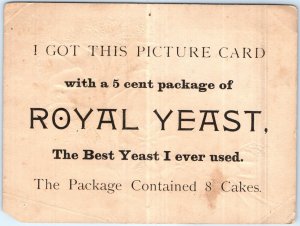 c1880s Royal Yeast 5 cent Large Trade Picture Card Snow House Flower Embossed 5N