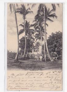 GUATEMALA : finca la concepcion, timbre décollé - état