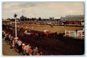 1957 Chuckwagon Races Calgary Alberta Canada Vintage Posted Postcard