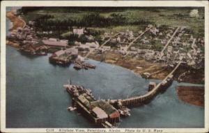 Petersburg AK Airplane View Postcard rpx