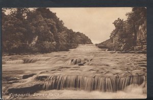 Yorkshire Postcard - Aysgarth, Lower Falls    RS11160