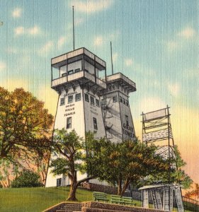Postcard Twin Towers US 112 Irish Hills District Michigan
