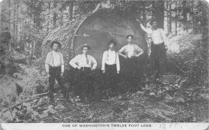 Logging Tree 12 foot logs Washington 1910c postcard