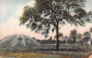 St. Petersburg Florida Old Indian Shell Mound, Color Lithograph Vintage PC U9815