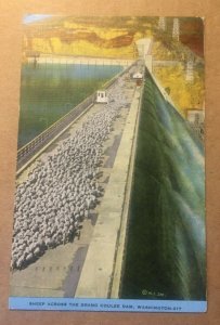 1949 USED .01 LINEN POSTCARD SHEEP ACROSS THE GRAND COULEE DAM WASHINGTON