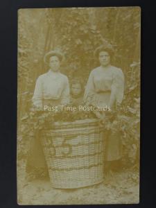 England HOP PICKING / PICKER Women & Basket Field Portrait (4) Early RP Postcard