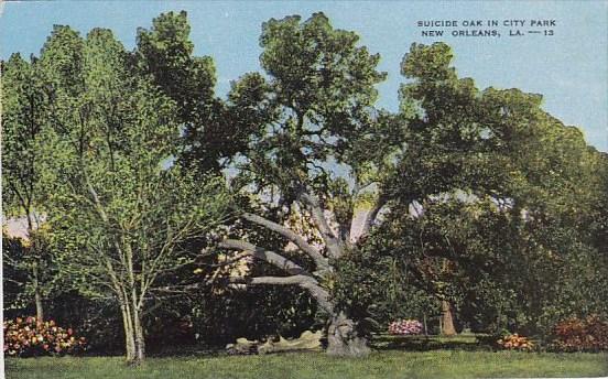 Suicide Oak In City Park New Orleans Louisiana