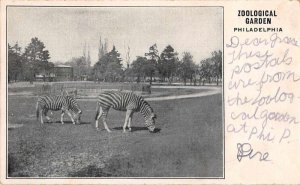 Philadelphia Pennsylvania Zoological Garden Zebra Vintage Postcard JF235292 