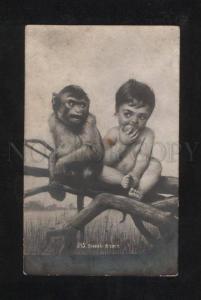 071331 Baby & MONKEY by DVORAK Vintage PC