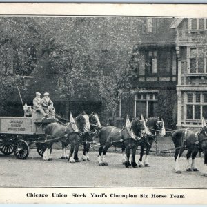 1924 Chicago Union Stock Yard Transit Clydesdale Six Horse Litho Photo Expo A184