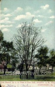 Tree Planted by US Grant - Allegheny, Pennsylvania PA  