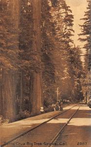 Big Tree Grove California Santa Cruz Railroad Antique Postcard K92997