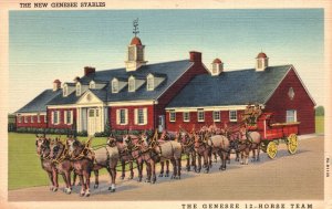 Vintage Postcard Venue Genesee Public Stables 12-Horse Team Rochester New York
