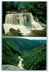 c1950's Blackwater Falls & Canyon The Alleghenies Davis WV Postcard 