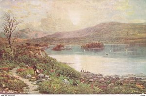 KILLARNEY , Ireland , 1900-10s ; Upper Lake ; TUCK 7137