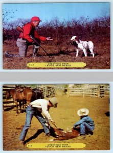 2 Postcards GREETINGS from TEXICO, New Mexico NM ~ Curry County HUNTING, COWBOYS