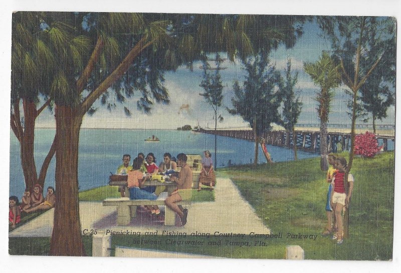 Clearwater Tampa FL Courtney Campbell Parkway Picnic 1954 Linen Postcard