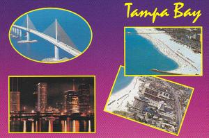 Multi View Tampa Bay Florida