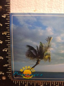 Postcard - Paysages - Mauritius