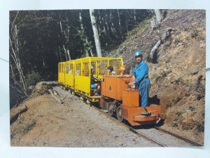 Mine & Woodland Tramway Morwellham Quay Open Air Museum Vintage Postcard