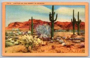 Vintage Arizona Postcard - Cactus on the Desert