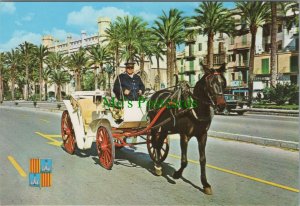 Spain Postcard - Paseo Sagrera, Palma De Mallorca   RRR1153