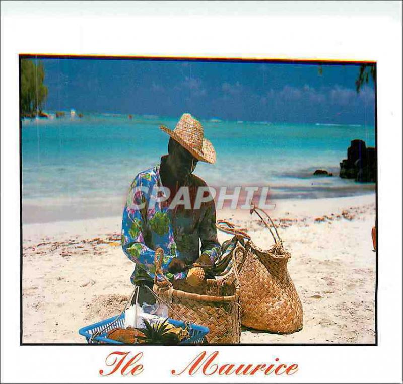  Modern Postcard Mauritius Merchant of Pineapple