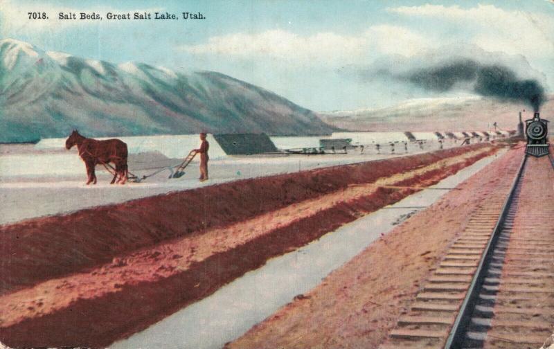 USA - Salt Beds Great Salt Lake Utah 01.80