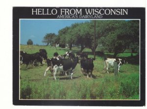 Hello From Wisconsin, America's Dairyland, 1990 Chrome Postcard