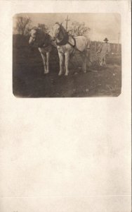 Antique RPPC Horses Farmer Ploughing Field Farming Agricultural C1910 KC5