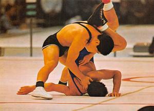 Wrestling - Tokyo