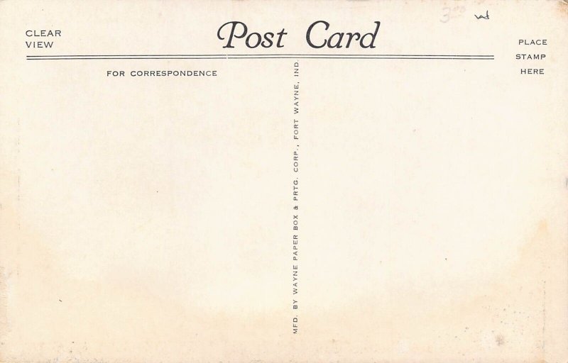 Michigan Avenue Street Scene Cigar Drug Stores Jackson MI 1940s postcard