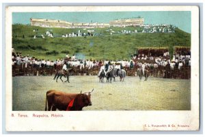 Acapulco Guerrero Mexico Postcard Audience Watching Toros (Bull) Show c1905