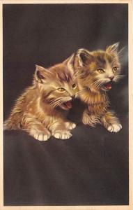 Cat Post Card Old Vintage Antique Two Cats 1953