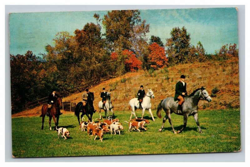 Vintage 1962 Postcard Pine Crest Inn Fox Hunting Tryon North Carolina