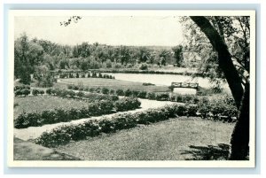 c1940's Lagoon And Landscape Island College Campus St. Paul Minnesota Postcard