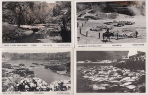 AZOREN ACORES PORTUGAL COLONY 24 Vintage Postcards pre-1950 with BETTER (L4135)