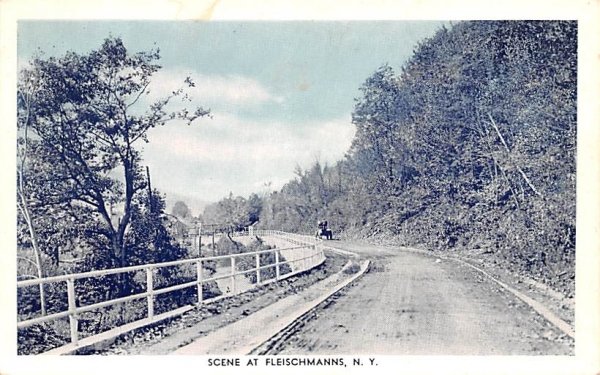 Road Scene Fleischmanns, New York Postcard